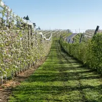 Le nouvel arrêté qui impose une zone de non-traitement quand des habitations sont proches est unanimement dénoncé par les agriculteurs.