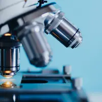 Les micro-organismes sont les substances de biocontrôle qui ont connu la plus forte progression entre 2011 et 2019.