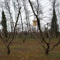 Nichoir pour un couple de mésanges qui consomme près de 8 000 insectes lors du nourrissage des jeunes entre avril et juillet. © CA26
