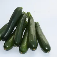 La France a produit en moyenne 119 000 t de courgette entre 2016 et 2018, ce qui fait d'elle le troisième producteur européen. Elle en est aussi le pr