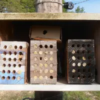 L’observation du nombre de trous maçonnés est un indicateur pertinent car il y a corrélation entre le nombre de trous entièrement maçonnés en année N