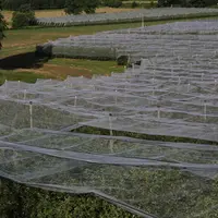 En Corrèze, un verger de pommier nécessite 1200 m3/ha en année climatique normale et 2150 m3/ha en année climatique très sèche. © RFL