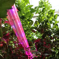 La lumière est la principale source d’énergie de la plante, captée par la chlorophylle mais intervient aussi en tant que « signal » perçu par des phot