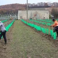 La date de dépôts des dossiers d'aide est fixée au 31 juillet pour les fruits à pépin et au 15 septembre pour les fruits à noyau. © RFL