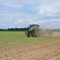 Les légumes bio de transformation, comme le haricot, apportent de la diversification dans les espèces végétales et laissent la possibilité d’implanter