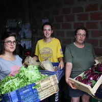 Au Jardin de Quentin, Aurore Sournac (à droite), Juliette et Emeline ont dû faire face à une forte augmentation de toute leur gamme de légumes bio.  ©