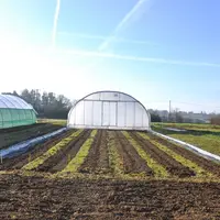 Le tunnel mobile installé début 2020 à la station expérimentale de la Serail (Rhône) doit permettre d'optimiser les rotations dans un système maraîche