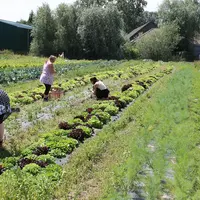Les Ateliers et chantiers d’insertion fonctionnent comme des tremplins pour permettre à des personnes cabossées par la vie de retrouver une stabilité,