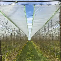 La solution de bâches indépendantes des filets permet de les fermer en juin et ainsi conserver la qualité des pommes. © L. Rougerie