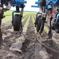 Le projet AlterCarot a pour objectif de réduire les IFT de 60 %, notamment ceux du désherbage.  © RFL