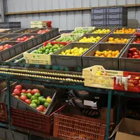 Selon les récoltes, une certaine souplesse est possible sur le nombre de fruits de chaque variété dans les colis Saveurs d’Antan. © V. Bargain