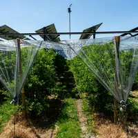 Les panneaux photovoltaïques sont les installations de production d’énergies renouvelables qui devraient le plus se développer en nombre, selon le rap