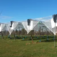Les bâches et filets font partie des leviers testés pour diminuer les IFT tout en conservant une performance économique. © M. Millan