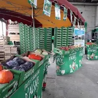 Les fruits et légumes bio d’Alsace sont conditionnés dans des cartons verts, la production conventionnelle en rouge. © (Photo OPABA)