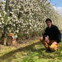 Alexandre Prot  possède une quarantaine de ruches qui restent toute l'année sur son exploitation. Elles assurent la pollinisation et produisent 500 kg