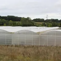 Les retours d'expériences sur l'utilisation des filets anti-insectes sous serre sont très différents suivant les cultures et selon les ravageurs visés