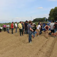 Arterris qui souhaite atteindre 500 t dans cinq ans, a déjà accueilli une journée technique asperge organisée par l'AOPn asperge de France. © RFL