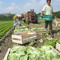 Dans le contexte de crise sanitaire actuel et ses conséquences économiques, vous pouvez embaucher un salarié en activité partielle.  © RFL