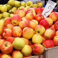 Les exportations polonaises de pommes ont augmenté de près de 15 % entre 2015 et 2019. © DR