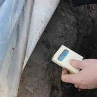 L’asperge doit être dans une « plage de température de confort », entre 18°C à 20 °C, à 20 cm sous le haut de la butte. © RFL
