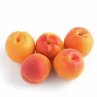 Un abricot alliant une texture fondante et juteuse, une saveur sucrée et une intensité aromatique satisferait 90 % des consommateurs. © Phovoir