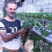 En médaillon,Stéphane Gay a transformé une ancienne serre en jardin suspendu pour diversifier ses productions. © RFL