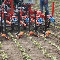 En haricot, le binage est possible du stade première feuille trifoliée jusqu’à la fermeture des rangs. © Unilet