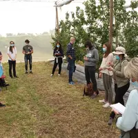 Le projet Mirad combine filets mono-parcelles, bâches antipluie, piégeage massif et biocontrôle pour un objectif de réduction de 75% de l'IFT en abric