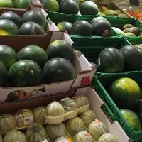 Au mois de juillet neuf magasins sur dix détiennent du melon, contre trois sur quatre pour la pastèque. © RFL