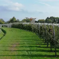 Deux hauteurs de vol ont été testées, 2 m et 1 m au-dessus de la canopée. © CTIFL
