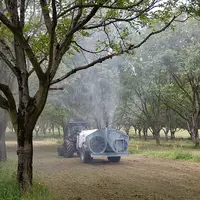 Un puissant pulvérisateur est nécessaire pour que les gouttelettes d’argile puissent atteindre la canopée des noyers. © I. Doucet