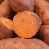 En pleine saison de patate douce, la production française ne couvre que 40 % de l’offre totale nationale. © RFL
