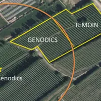 Plan parcellaire de l'essai du CETA Cavaillon. L’appareil Genodics était positionné dans une autre parcelle que celle de l'essai, afin d’avoir une par