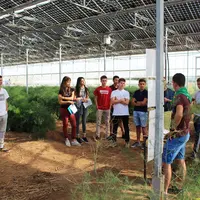 Si les enfants d'agriculteurs choisissent souvent la même voie professionnelle que leurs parents, les formations agricoles attirent de plus en plus de