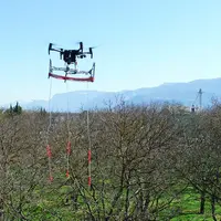 La solution Phérodrone permet de larguer des colliers diffuseurs de phéromones au sommet des noyers pour les protéger contre le carpocapse.