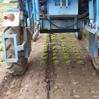 L'expérimentation GaGNée utilise le goutte-à-goutte enterré pour réduire l’utilisation d’eau en culture plein champ.