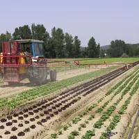 Le conseil d’Etat a ajouté les substances classées CMR « suspectées » (CMR2) à la liste des produits ayant 20 m de ZNT.