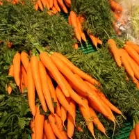 Les carotte fanes sont un produit d’attrait de l’ensemble du linéaire légumes.