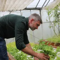 Guillaume Schlur produit depuis 2017 des légumes et plantes aromatiques nourris grâce aux déjections de ses poissons.