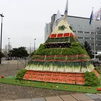La traditionnelle pyramide de Légumes de France s'est installée cette année à Nantes.