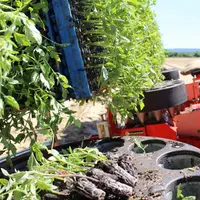Après une nouvelle campagne difficile sur le plan climatique, des interrogations pèsent déjà sur les plantations 2022.