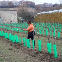 La plantation de vergers densifiés permet de stocker du carbone dans les parties ligneuses. Un stockage pérenne, à condition de broyer les souches en