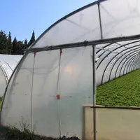 Les missions du nouveau pôle maraîchage seront exactement les mêmes que pour les deux GDA, notamment l'appui technique et l'expérimentation avec l’Apr