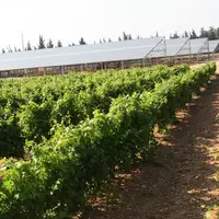 Les agriculteurs et développeurs photovoltaïques doivent pouvoir attester de procurer en priorité un service agricole à l'exploitation tout en évitant