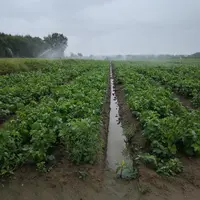 L’adaptation au créneau de production est essentielle.