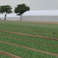 L’adaptation au créneau est un critère de choix important, les périodes de transition étant les plus compliquées.