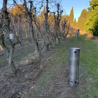 Selon l'intensité du gel, 150 à 350 chaufferettes Filpack sont à positionner par hectare.