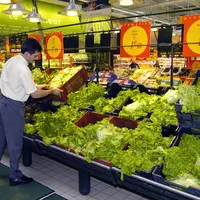 Selon Légumes de France, la grande distribution s’obstine à refuser de prendre en compte les hausses des charges dans le prix payé aux producteurs.