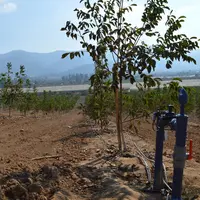 La gestion des ressources en eau est un enjeu important pour l'arboriculture chilienne qui se dote des nouvelles technologies.