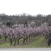 Le biocontrôle peut aider à une meilleure acceptabilité sociétale des pratiques agricoles.
